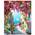 Gelrovaled Flower Town