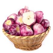 Generic Pflanzknoblauch rot Vergleich