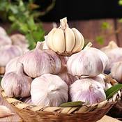 Generic Pflanzknoblauch weiß Vergleich