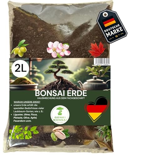 Bonsaierde Test & Vergleich  Top 16 im Juni 2026