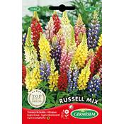 Germisem Lupinen-Samen