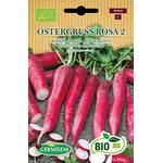 Germisem Radieschen Ostergruß Rosa 2