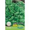 Germisem Spinat WINTER GIANT