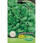 Germisem Spinat WINTER GIANT