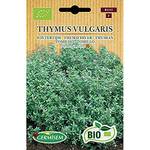 Germisem Thymus Vulgaris