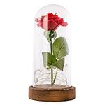 Geschenke 24 Ewige Rose in Glaskuppel