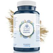 Getvegan Verdauungsenzyme Vergleich