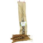 Getzoo Rote Kolbenhirse