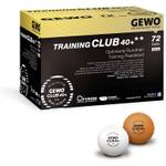 GEWO Training Club
