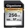Gigastone SDXC 256 GB