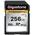 Gigastone SDXC 256 GB