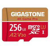 Gigastone MSD-256-7V-1PK Vergleich