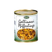 Gilli Pfifferlinge