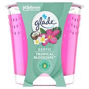 Glade Exotic Tropical Blossoms Duftkerze Vergleich
