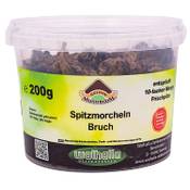 Golden Mushroom Morcheln (Bruch) Vergleich