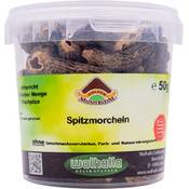 Golden Mushroom Morcheln Vergleich