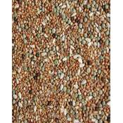 Goldkorn Taubenfutter Vergleich