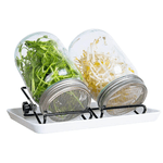 Goodgrow Sprossenglas-Set