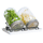Goodgrow Sprossenglas-Set