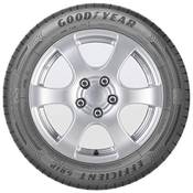 Goodyear EfficientGrip Performance Vergleich