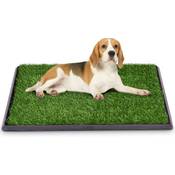 Goplus Hundetoilette Vergleich