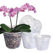 Gotvuge Orchideentopf