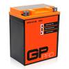 ‎GP-Pro GP-009