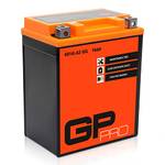 ‎GP-Pro GP-009