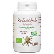 Gph Diffusion Teufelskralle Bio