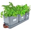 ‎Green Thumbz 2309
