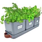 ‎Green Thumbz 2309