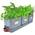 ‎Green Thumbz 2309