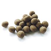 GreenEdge Seedbombs Samenbomben Vergleich