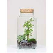 Greenery Living Cork-4-Flaschengarten Vergleich