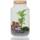 GreeneryLiving  Cork-1 Premium DIY-Flaschengarten