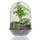 GreeneryLiving Egg Premium DIY-Flaschengarten