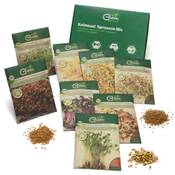 GreenSeeds Keimsaat Sprossen-Mix Vergleich