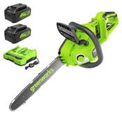 Greenworks 2006507UD