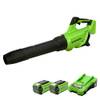 Greenworks GD40ABK2X