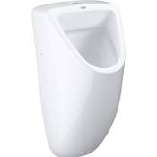 Grohe Bau 39439000 WC-Urinal Vergleich
