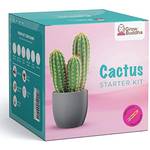 Grow Buddha Kaktus Starter Kit