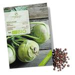 Growgreens Kohlrabi-Samen