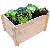 Grünergarten Hochbeet Komplett-Set GRÖN M-80 Vergleich