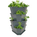 Gusta Garden Paul Potato Starter