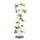 Gusta Garden Sissi Strawberry