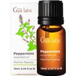 Gya Labs Bio-Jojoba-Trägeröl