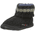 Haflinger Paul