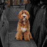 Hainberger Hundedecke für Autorückbank