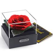 Hallooki haus Infinity Rose Vergleich