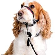 Halti OptiFit Kopfhalsband für Hunde